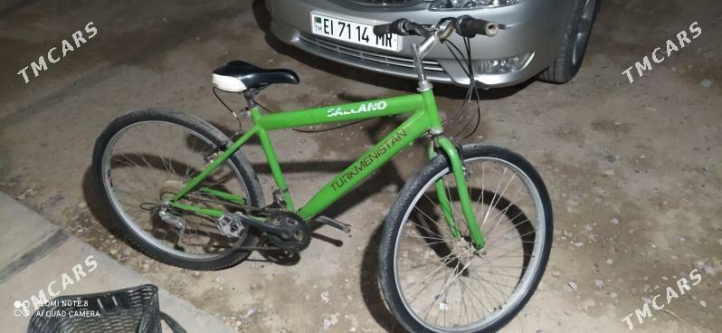 velsepit - Сакарчага - img 1