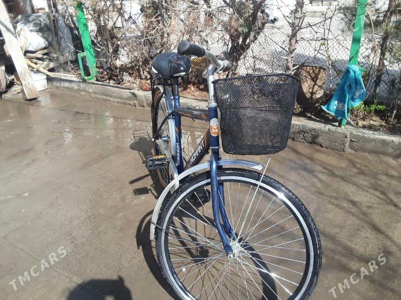 Tigir - Ruhabat (90-njy razýezd) - img 1