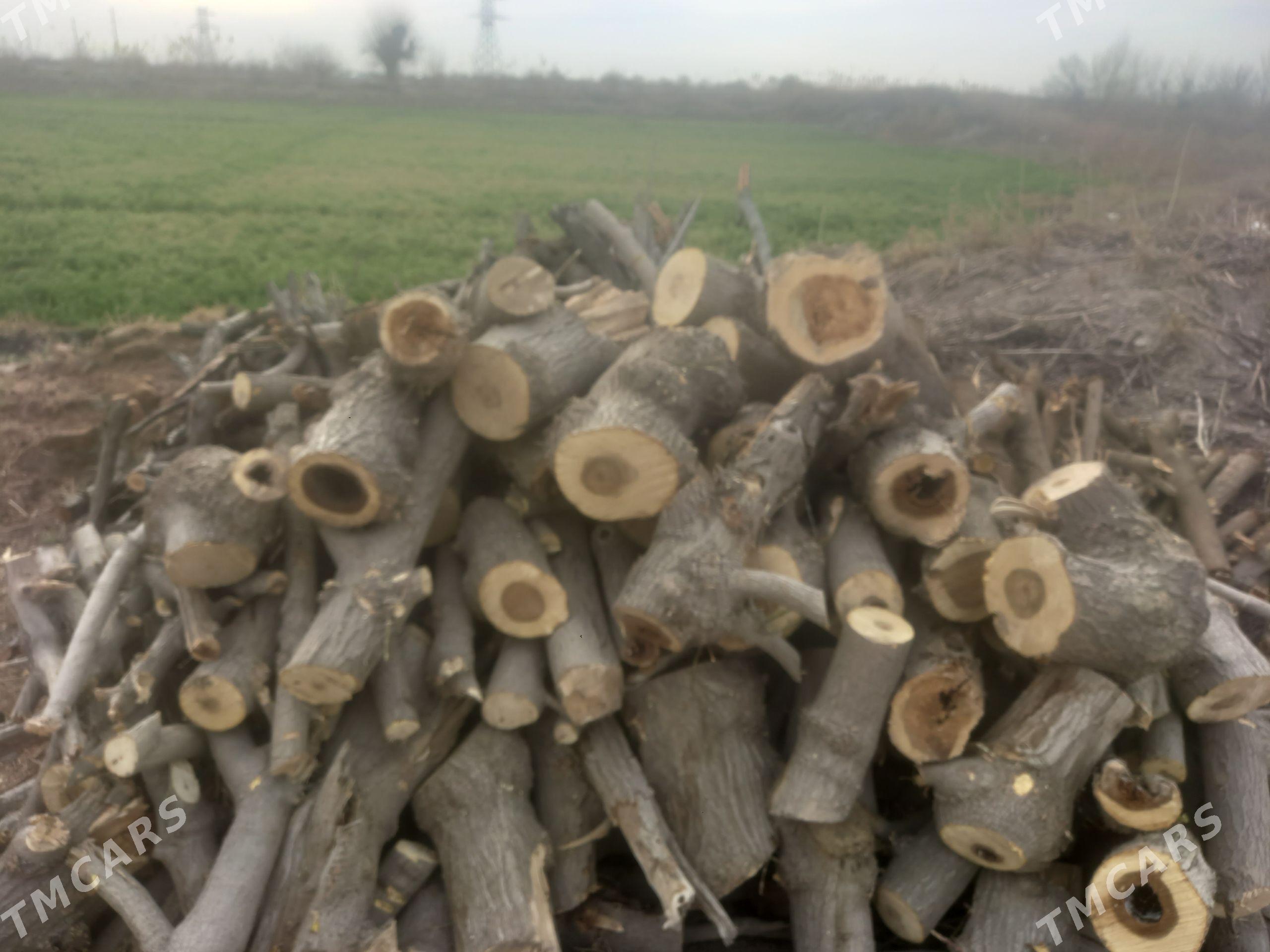 Şaşliklik odun - Чарджоу - img 1