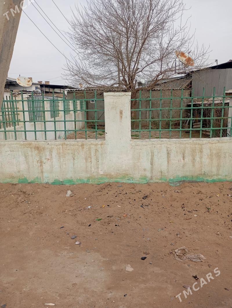 satlyk jav - Ak bugdaý etraby - img 1