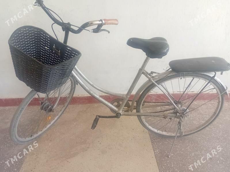 ýapon tigir - Gyzylarbat - img 1