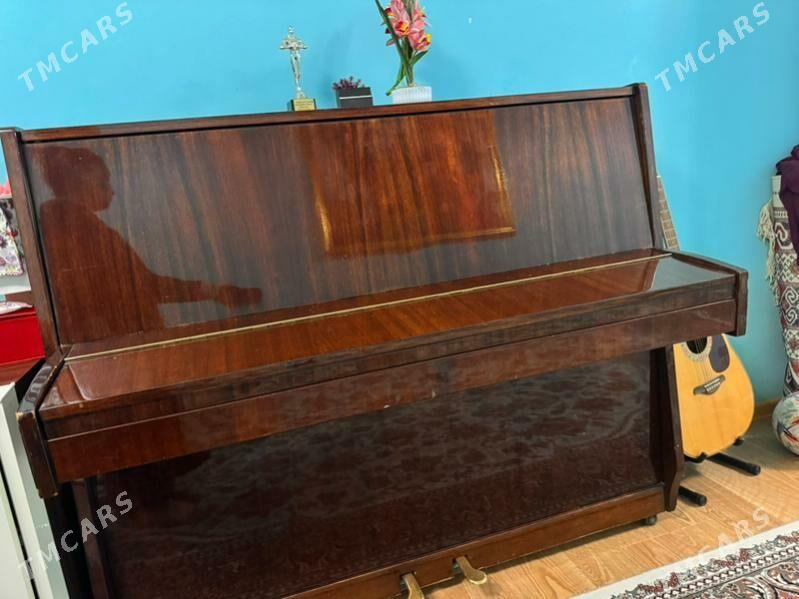 pionina / фортепиано - Бедев - img 1