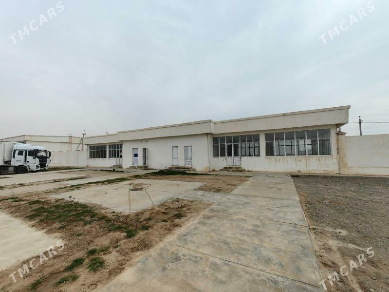 Ammarlar merkezinde naharhana - Ак-Бугдайский этрап - img 1