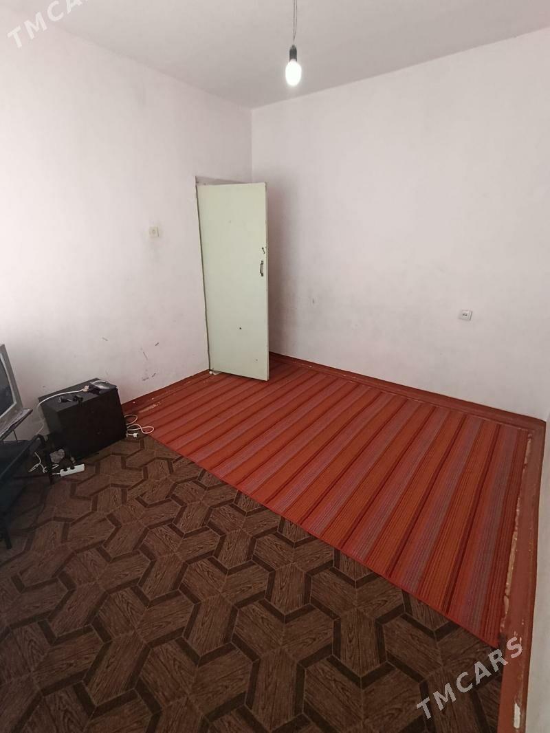 Satlyk jay - Mary - img 1