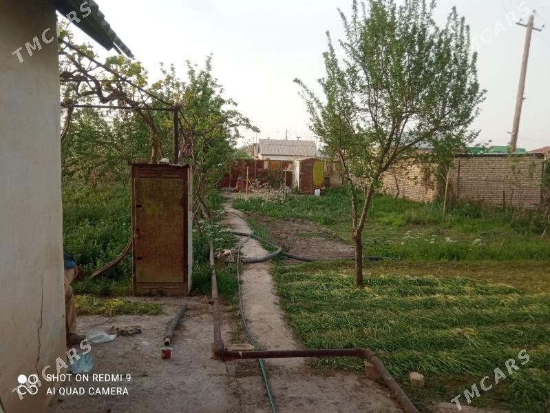 Daça - Mary - img 1