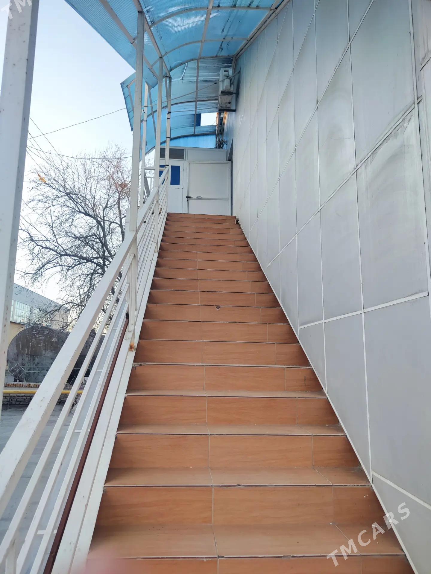 Arenda yer bar - Mary - img 1