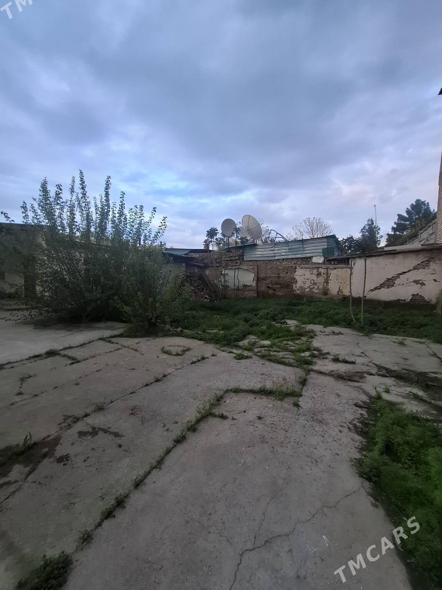 АК АЛТЫН - Aşgabat - img 1