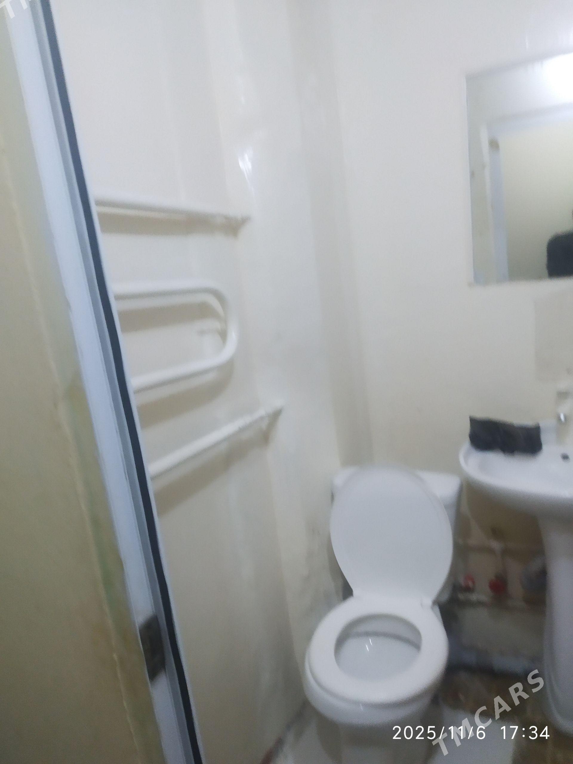 Satlyk jay - Mary - img 1