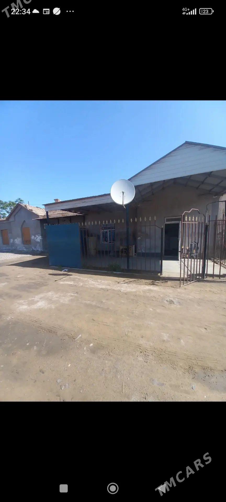 satlyk jay - Mary - img 1