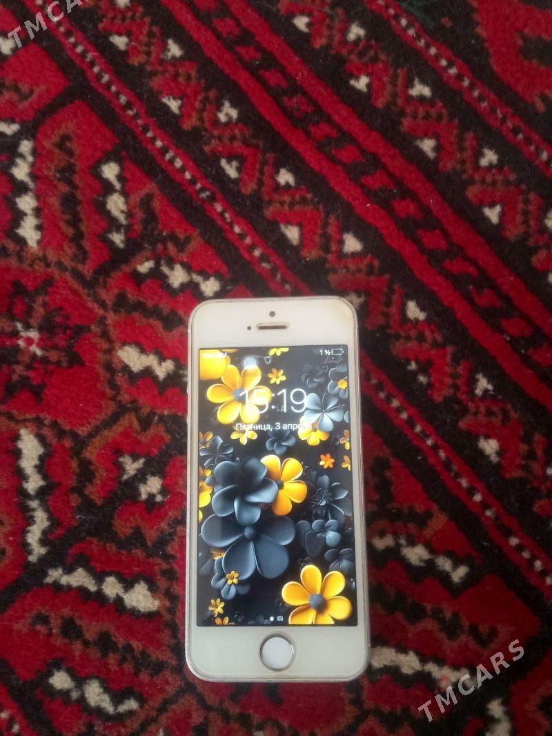 iPhone 5s - Sakarçäge - img 1