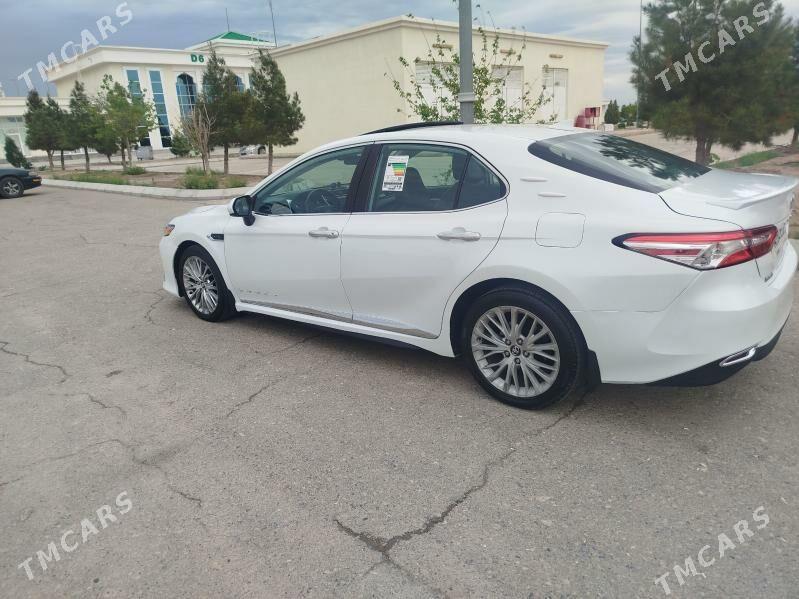 Toyota Camry 2020 - 320 000 TMT - Туркменабат - img 1