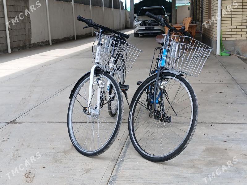 tigir - Büzmeýin - img 1