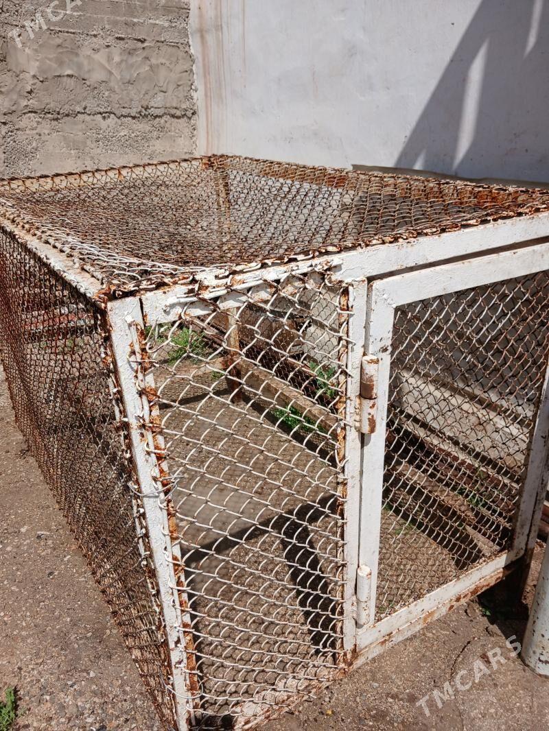 ketek - Balkanabat - img 1