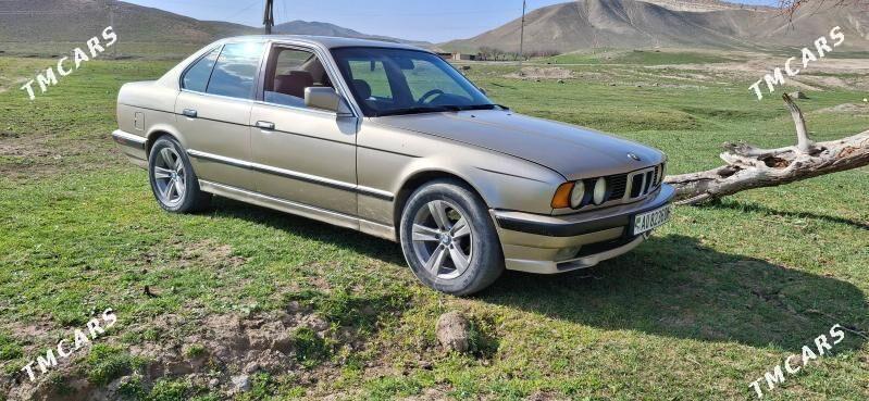 BMW 525 1991 - 48 000 TMT - Бахарден - img 1