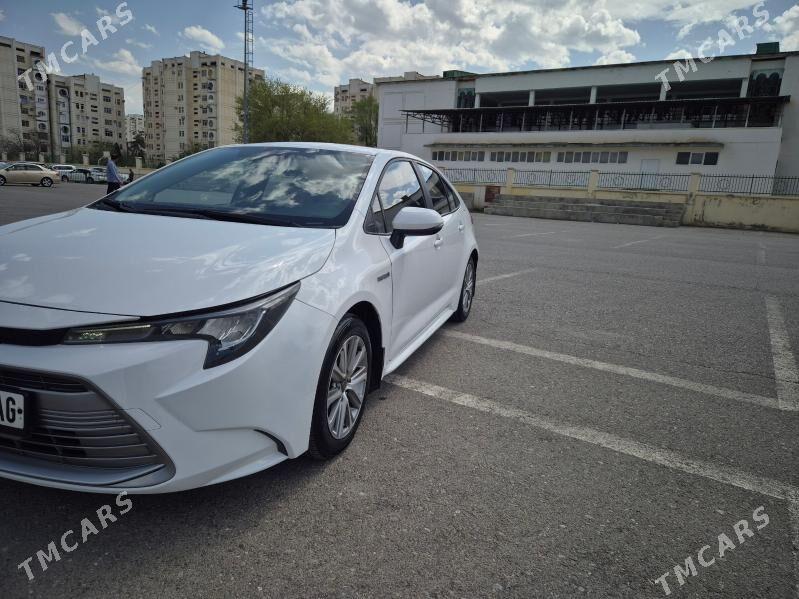 Toyota Corolla 2023 - 260 000 TMT - Aşgabat - img 1
