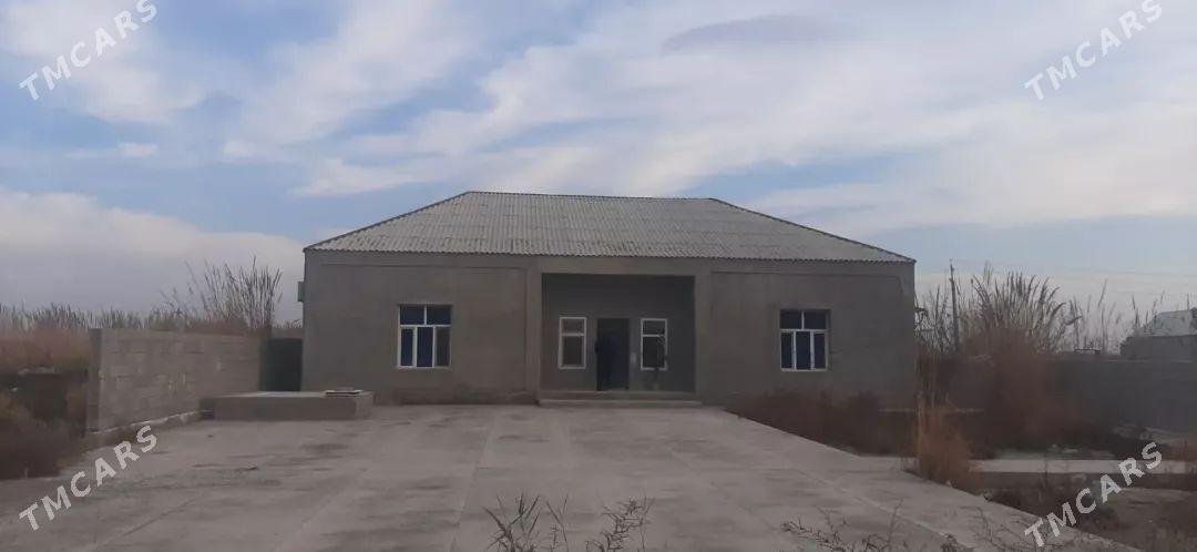 Baherden Kelete jay 17mun - Bäherden - img 1