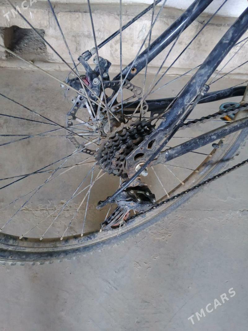 welosiped - Dänew - img 1