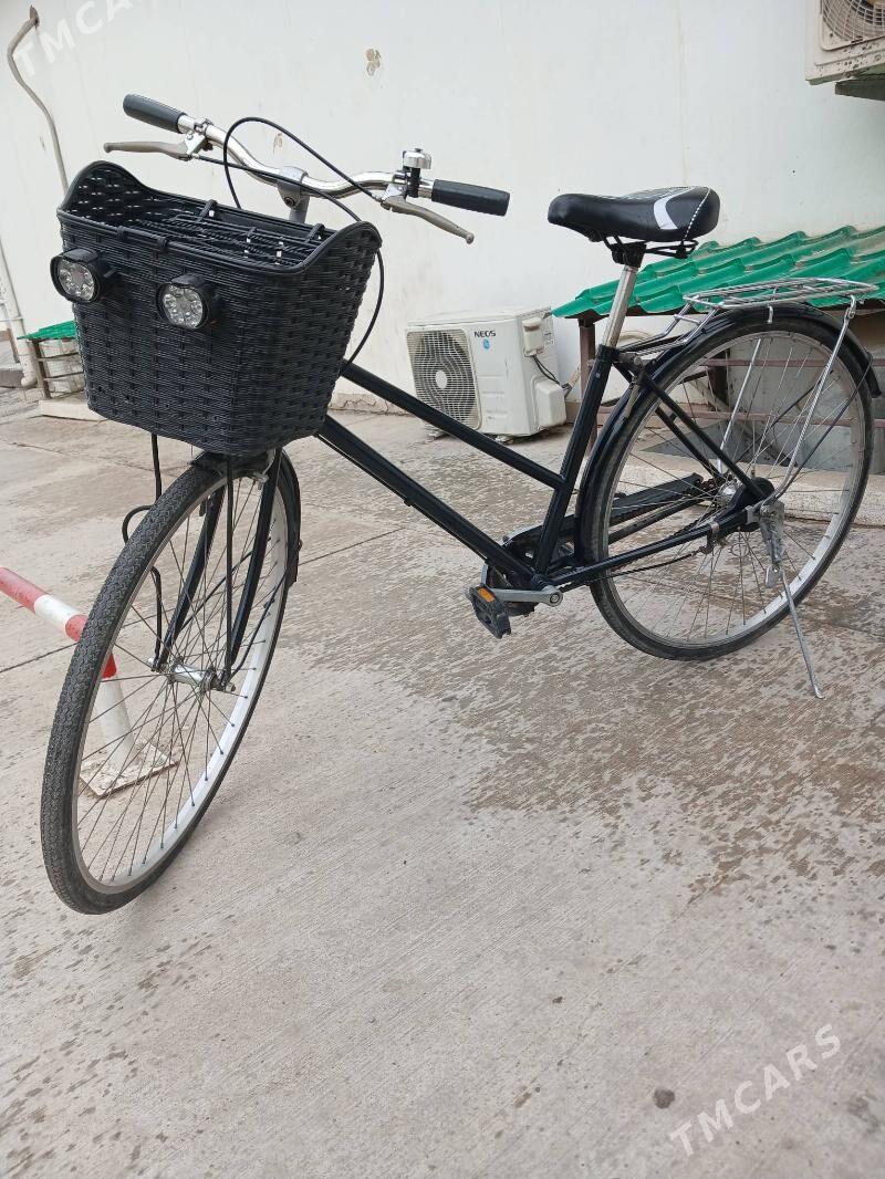 tigir yaponsky - Aşgabat - img 1