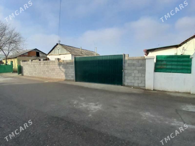 Anew satlyk jay - Änew - img 1