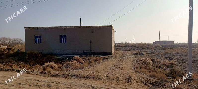 satlyk jay - етр. Туркменбаши - img 1