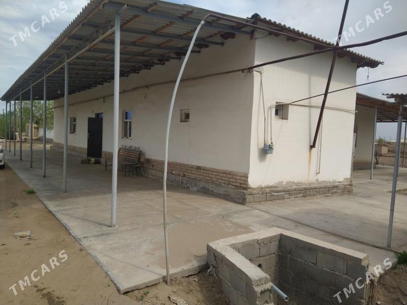 Tayyar uly bag bakjaly jay! - Boldumsaz - img 1