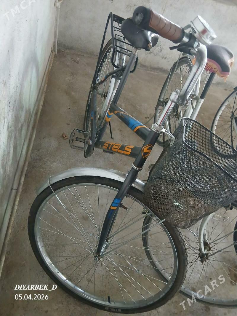 welik - Аркадаг - img 1