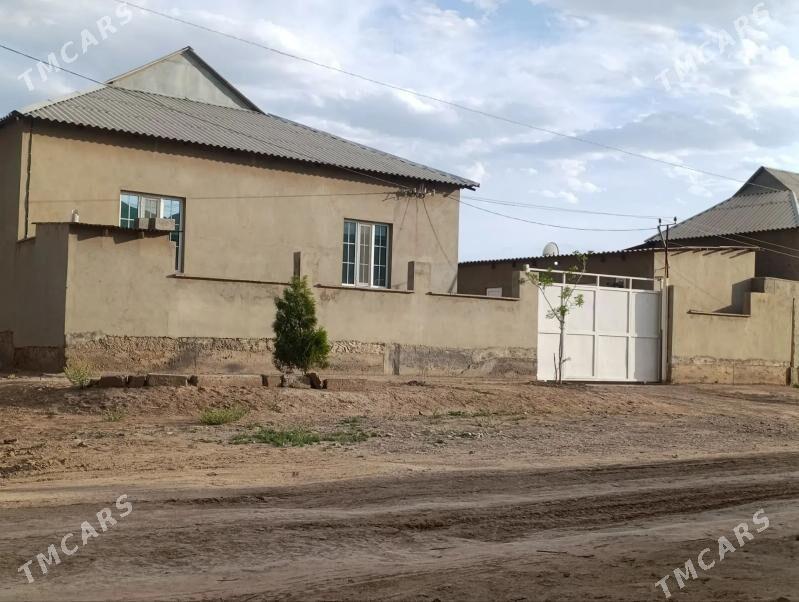 ТАЗЕ ЖАЙ - Tejen - img 1