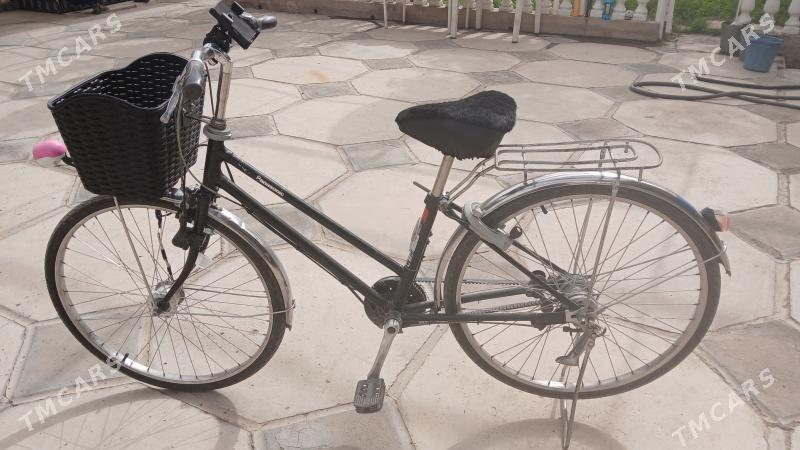 Panasonnik 26-lyk - Мары - img 1