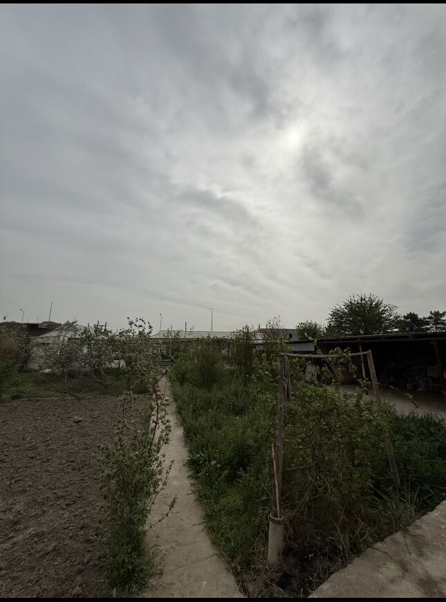 Howly Jay Mes - Мары - img 1