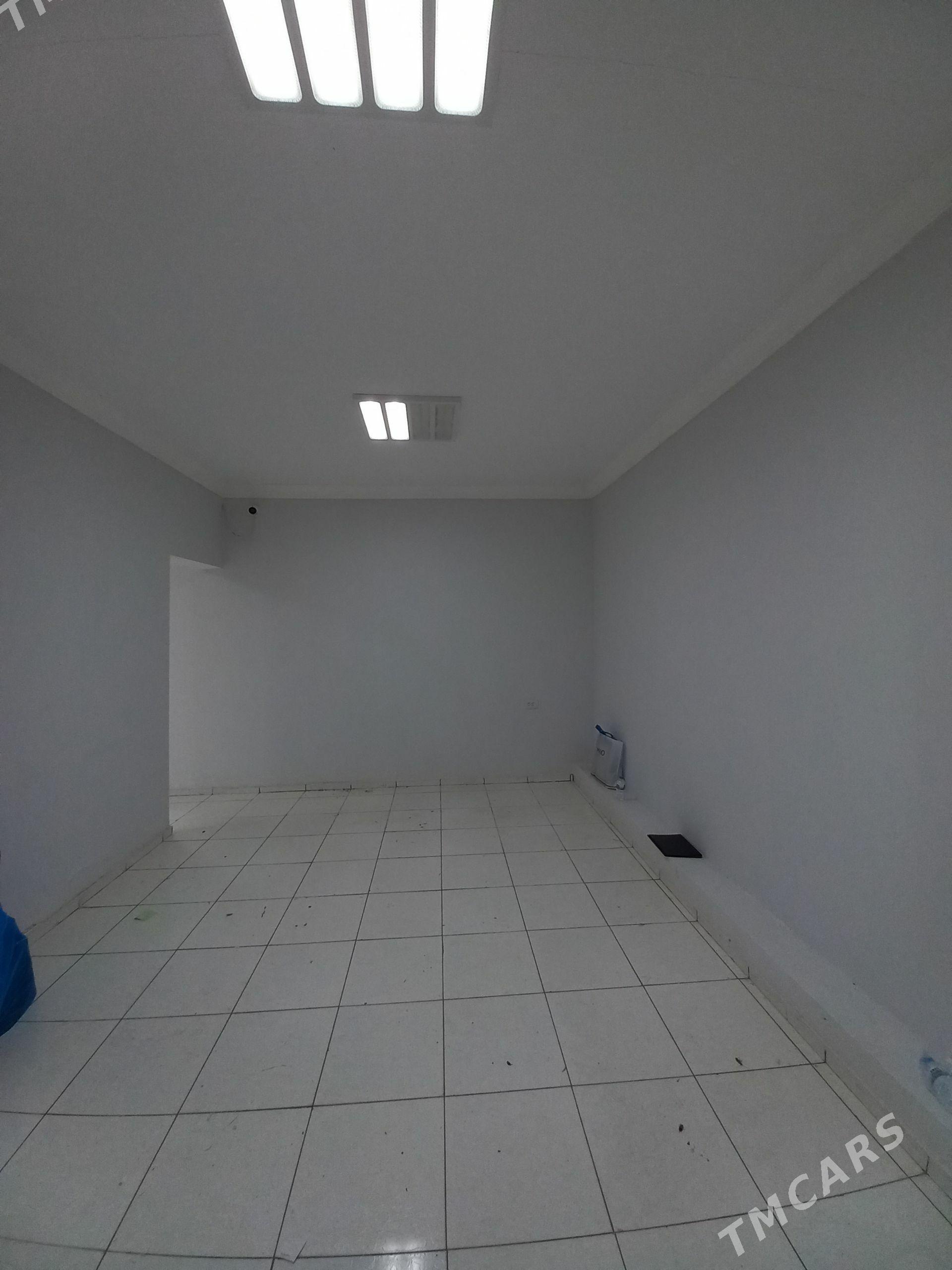 сдаю полуподвал Мир 7/1 - Мир 7 - img 1