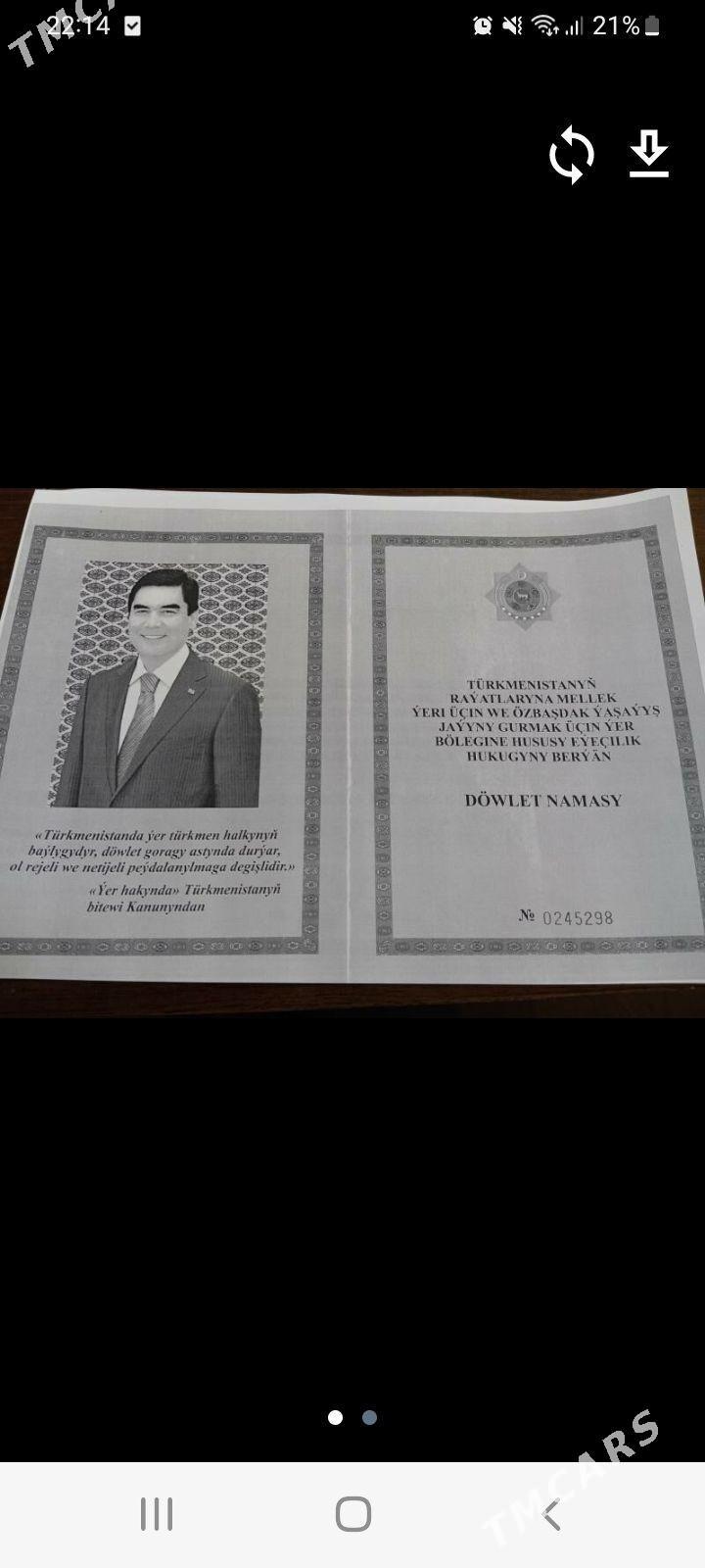 Anew onaldy - Анев - img 1