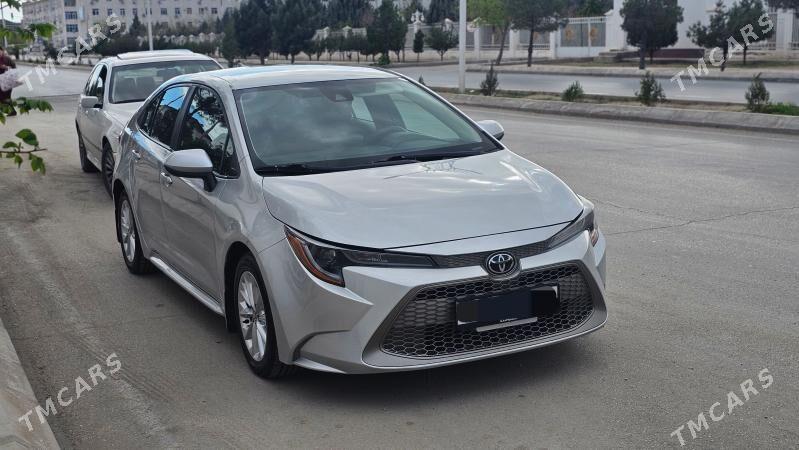 Toyota Corolla 2022 - 259 000 TMT - Балканабат - img 1