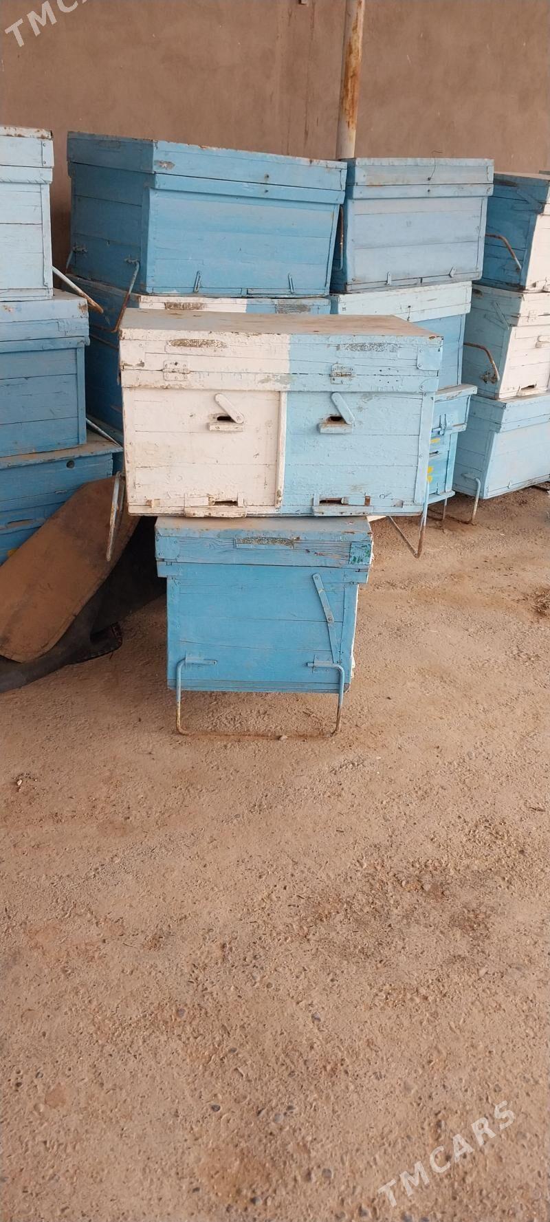 Ary yesik - Бабадайхан - img 1