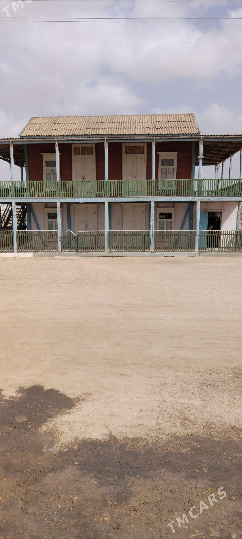 Agaç Jay - Esenguly - img 1