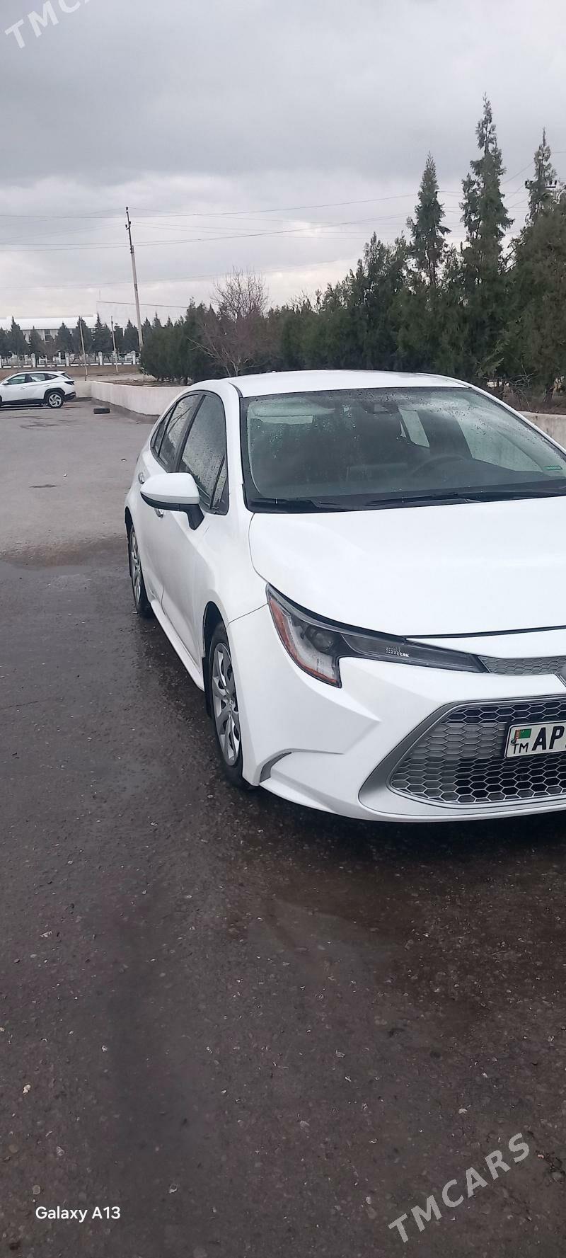 Toyota Corolla 2021 - 230 000 TMT - Ашхабад - img 1