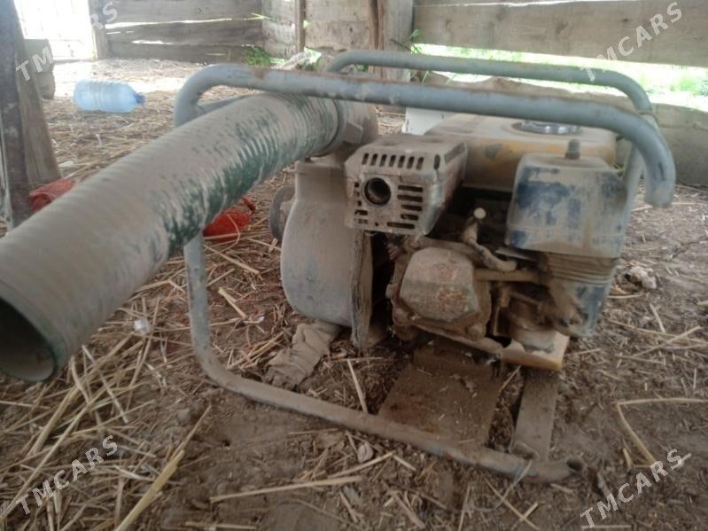 benzinli suw nasos - Сакарчага - img 1