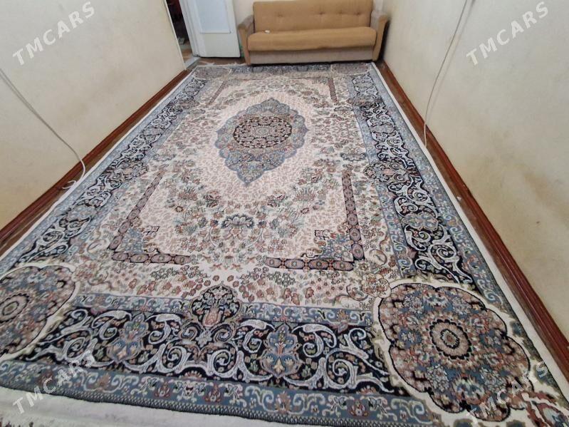 Haly 4.5X3.9 100% pagta - 11 mkr - img 1