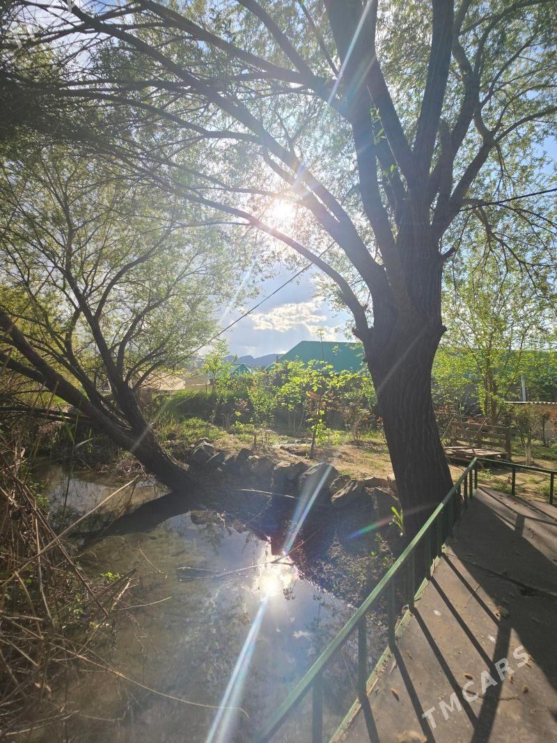 Bagyr Mirewe Gokje Bekrewe - Багир - img 1