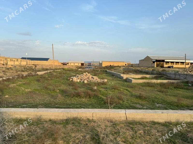 Satlyk Mellek - Saýat - img 1