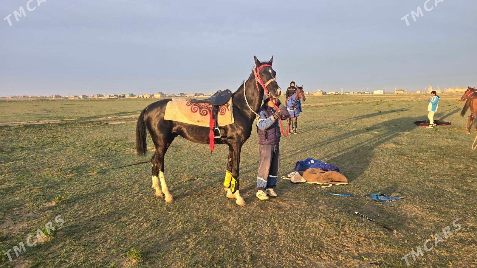 At - Балканабат - img 1