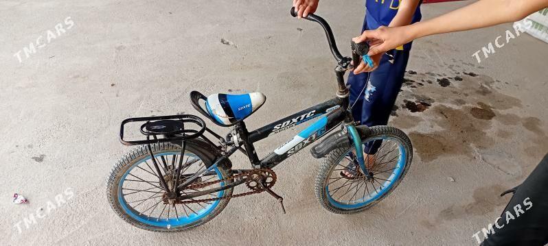 Welsepet - Mary - img 1