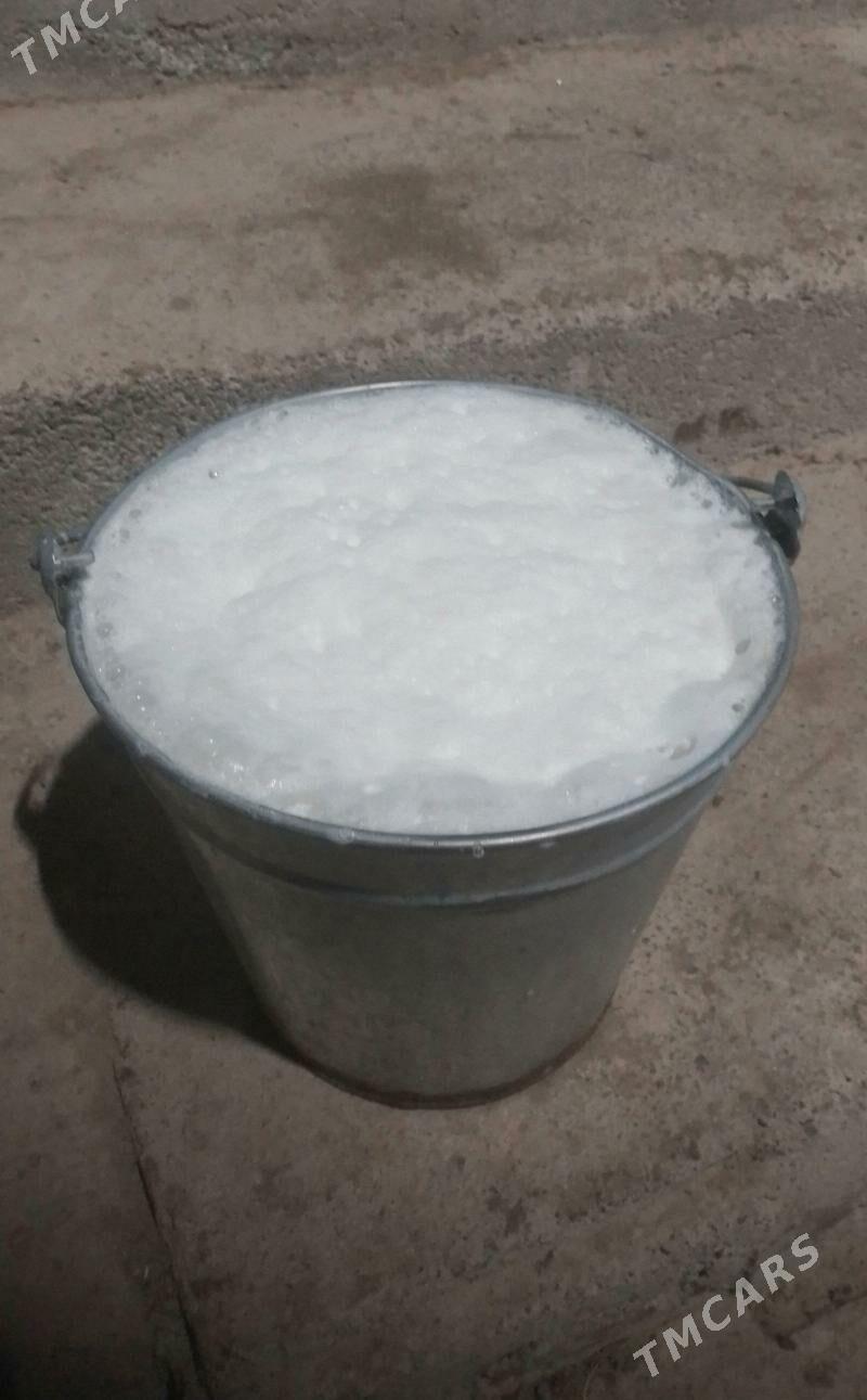 TOHUM SYGYR WE OKUZÇE - Bäherden - img 1