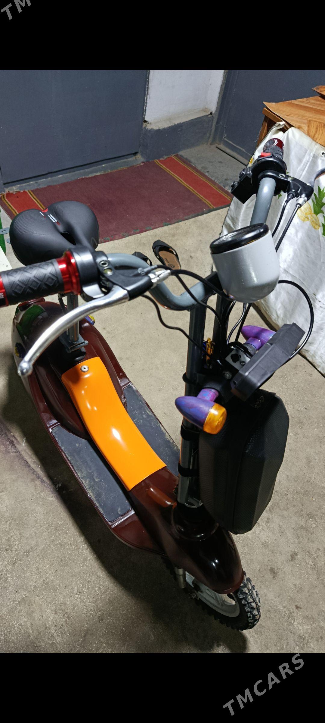 tokly mator - Bedew - img 1