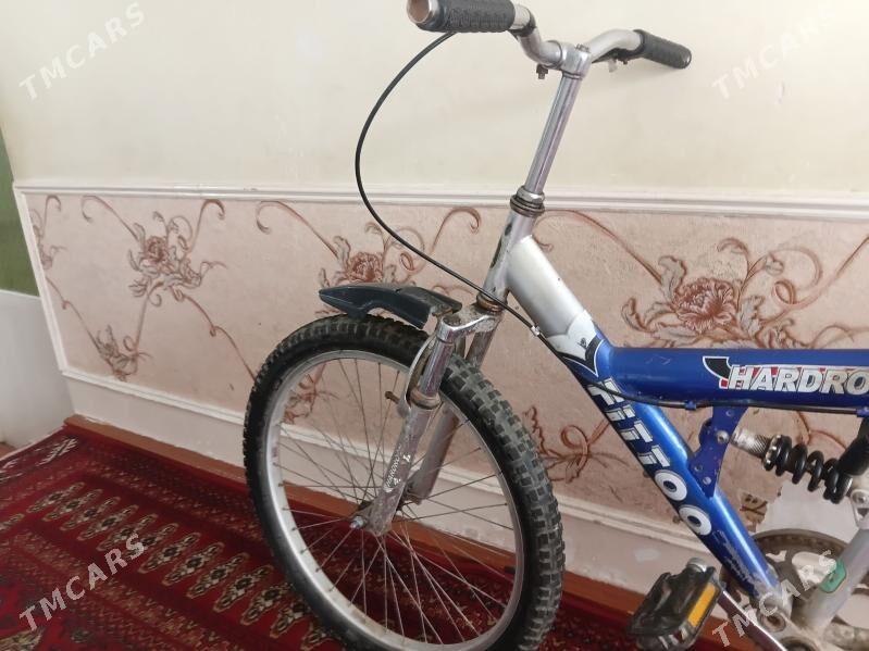 welsopet - Дашогуз - img 1