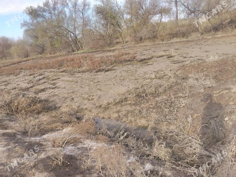 satlyk ucaska - Кёнеургенч - img 1