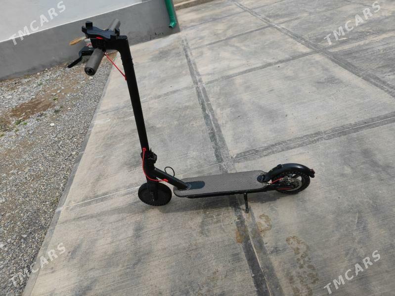 Tokly Samakat - Çoganly - img 1