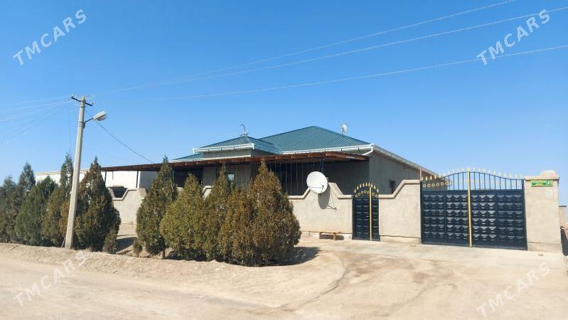 Satlyk Jay - Дашогуз - img 1