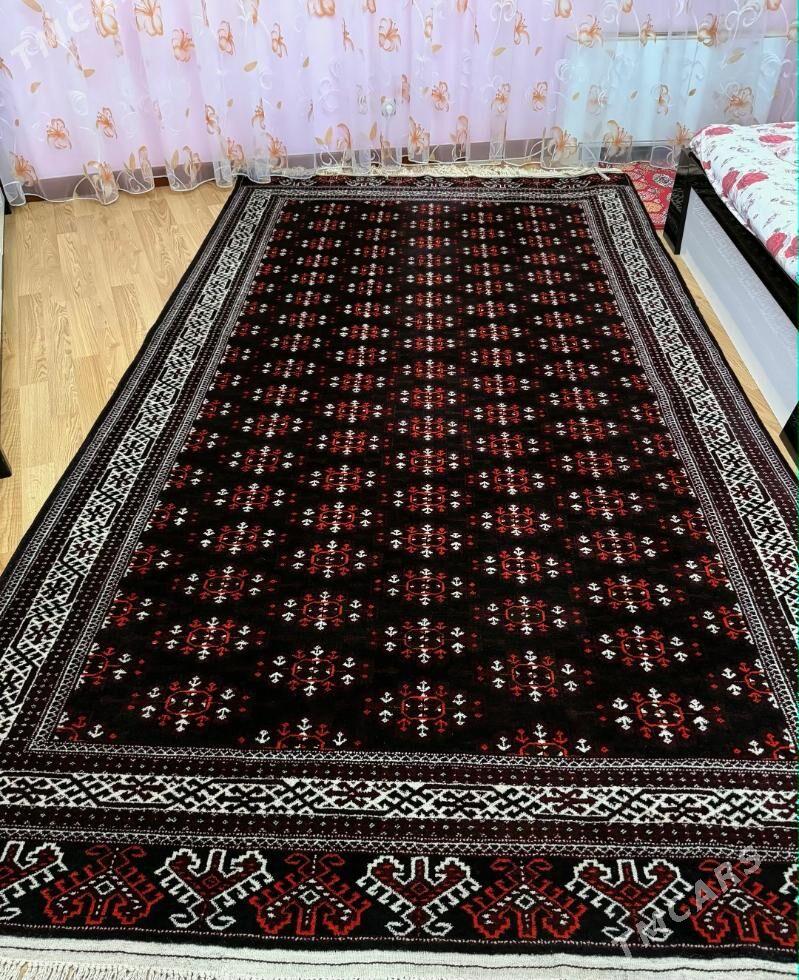 El haly Turkmen/ковёр шерст - Ашхабад - img 1