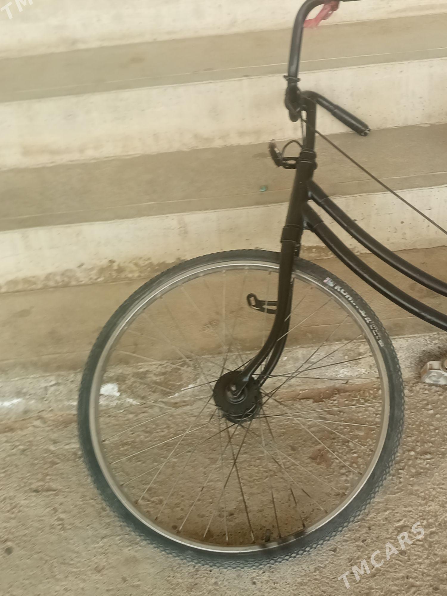 27lik welik Tokly top ba - Sakarçäge - img 1