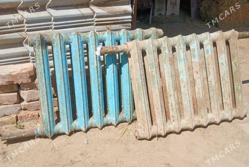 Ataplenýa - Гёкдепе - img 1